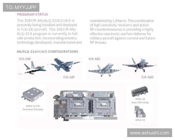 战斗机机载电子战系统的干扰波形