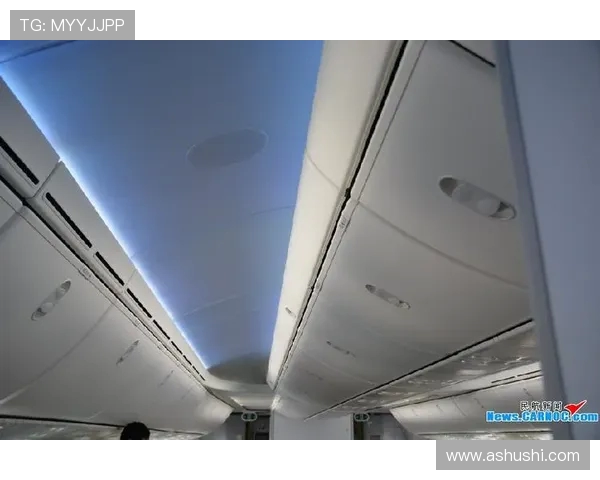 飞机客舱顶板的集成化照明