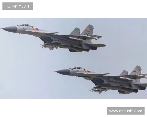 飞机机翼结构的气动载荷模拟